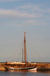Mytilus auf der Insel Ruden